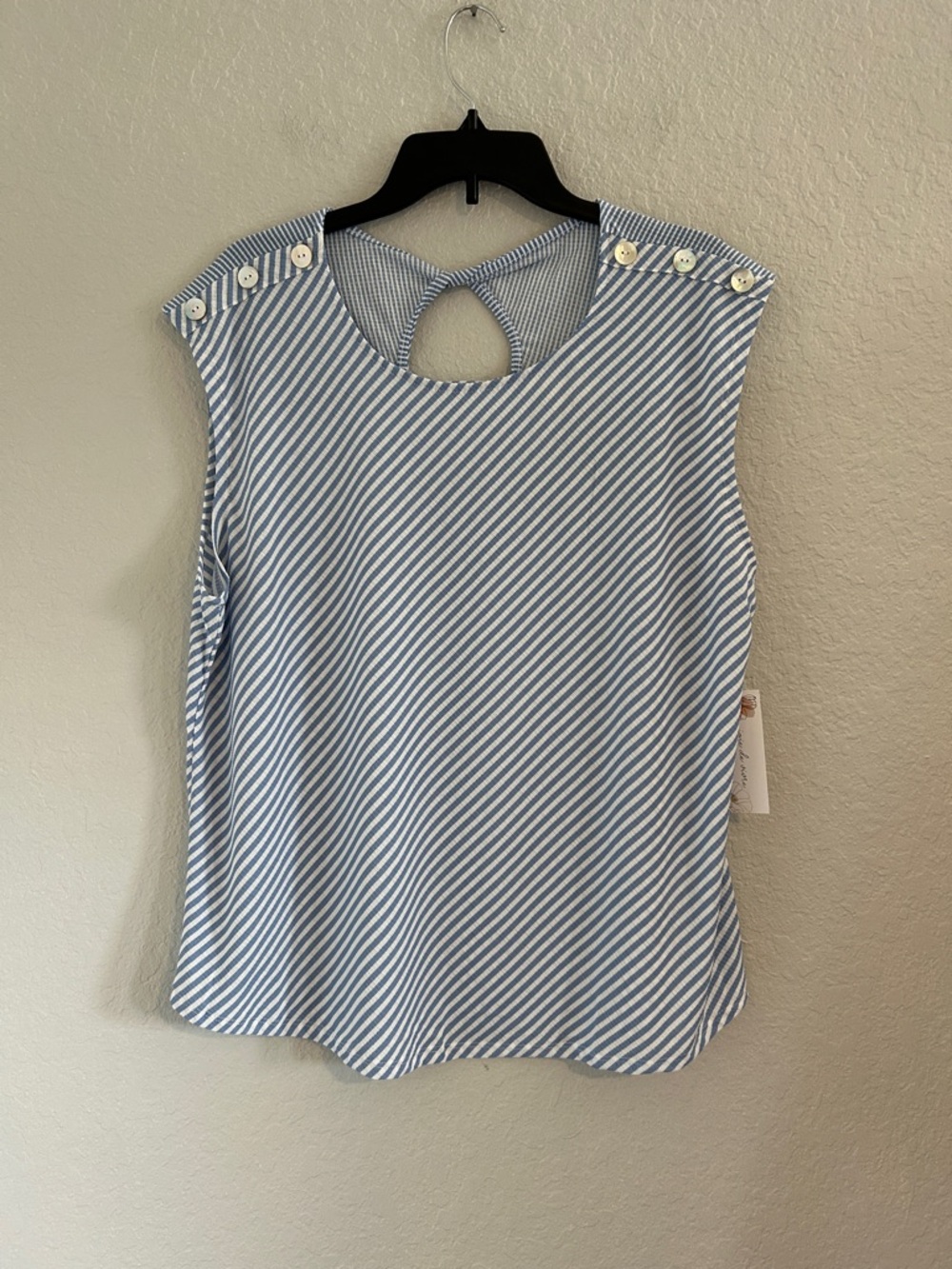 Sleeveless Striped Keyhole Back Camisole in Light Blue and White